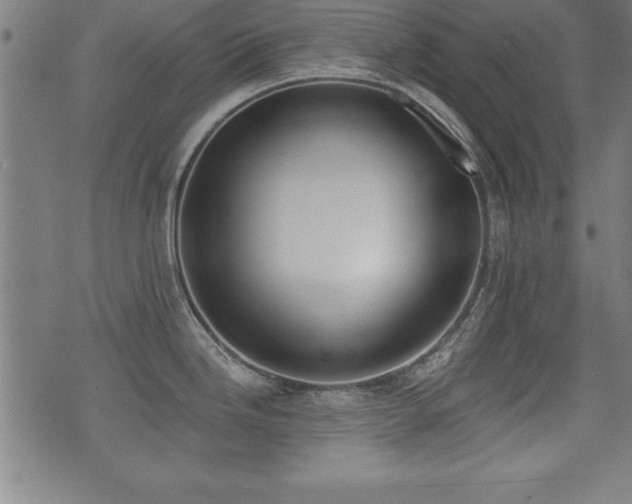 X0000075371246200609081131