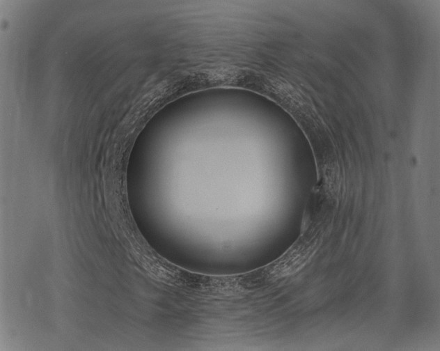 X0000075371249200609081131