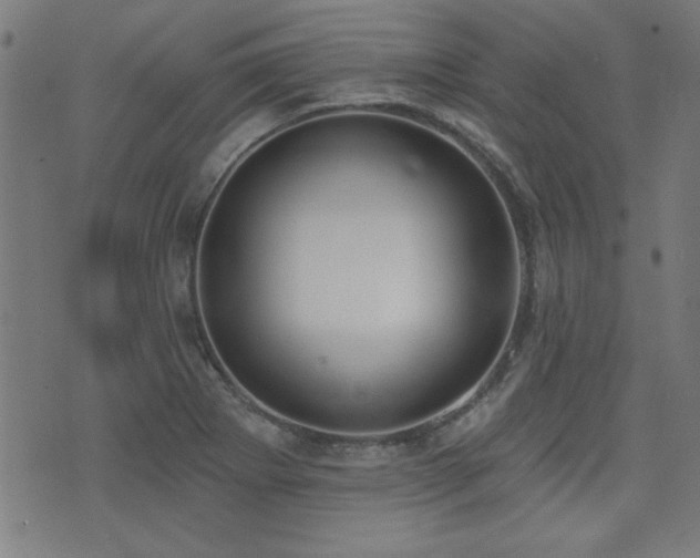 X0000075371273200609081130