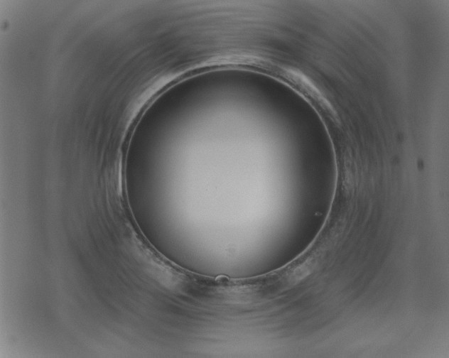 X0000075371276200609081130
