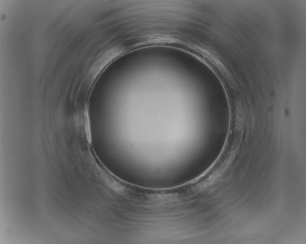 X0000075371281200609081130
