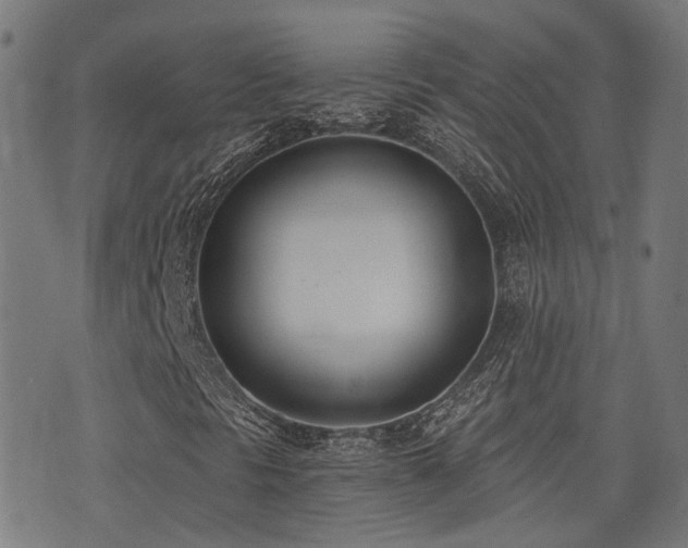 X0000075371297200609081129