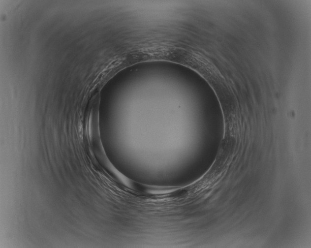 X0000075371298200609081129