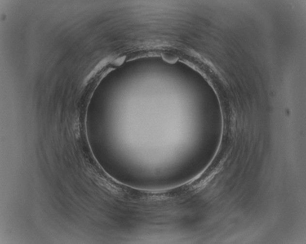 X0000075371306200609081129