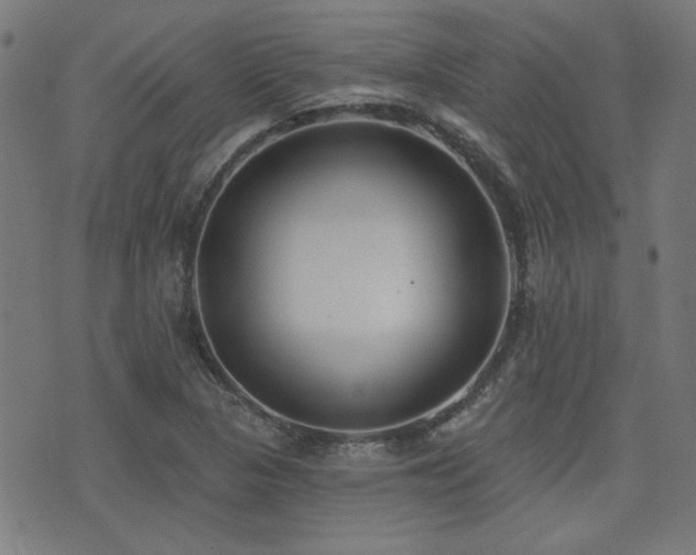 X0000075371313200609081129