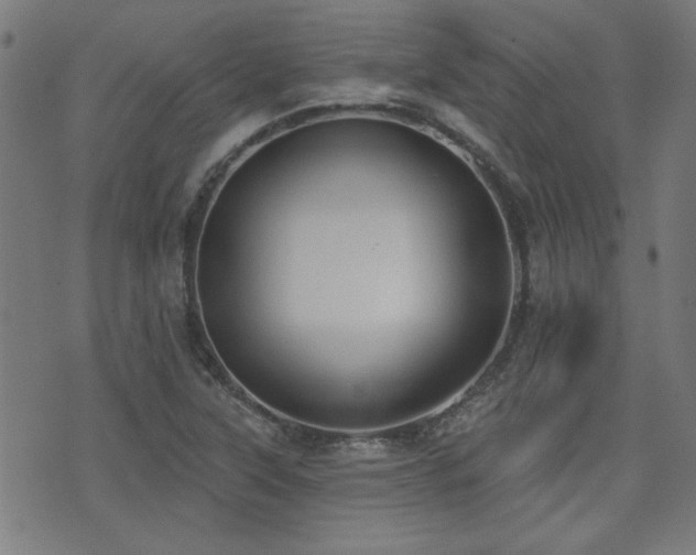 X0000075371315200609081129