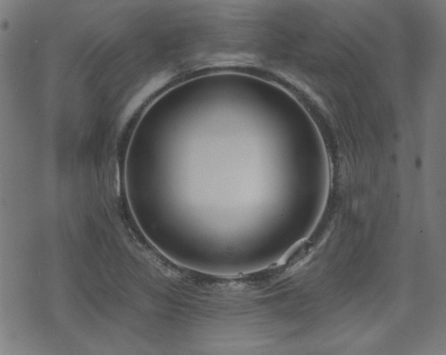 X0000075371317200609081129