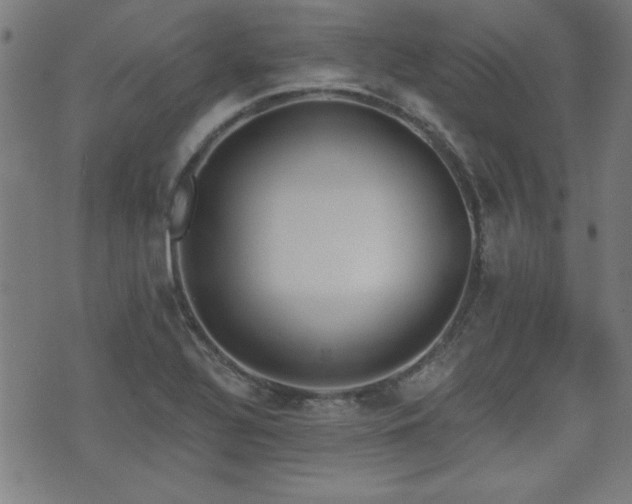 X0000075371320200609081129