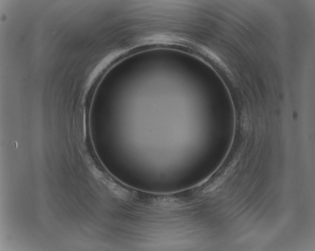X0000075371323200609081129