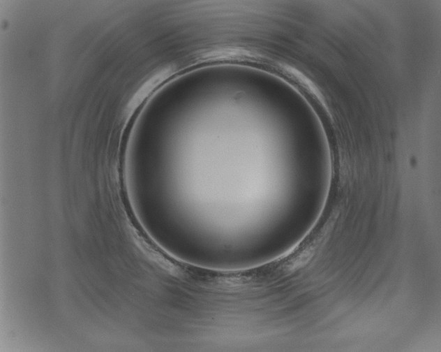 X0000075371330200609081130