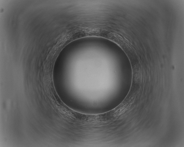 X0000075371345200609081129