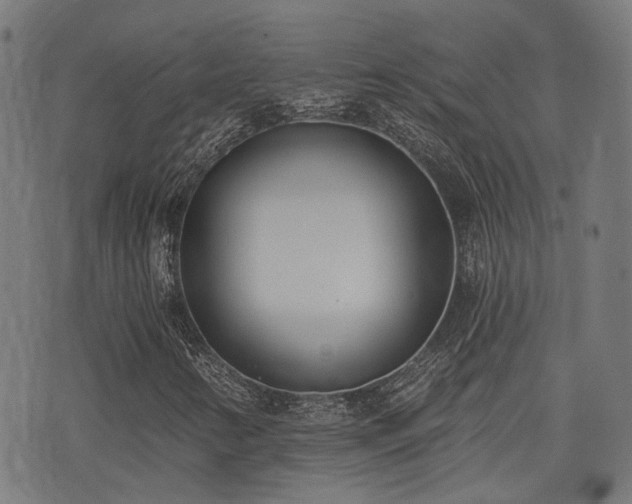 X0000075371346200609081129