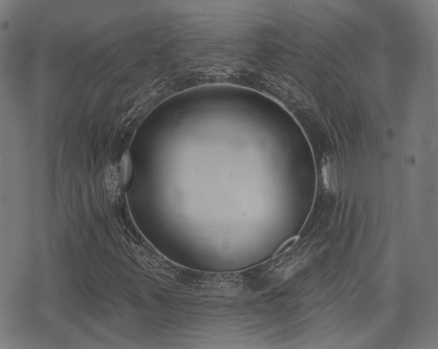 X0000075371347200609081129
