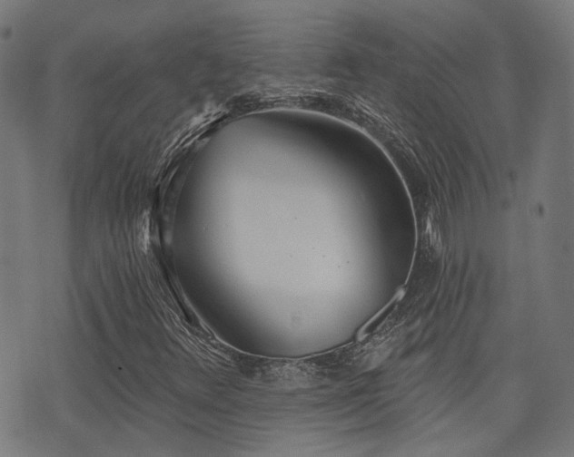 X0000075371348200609081129