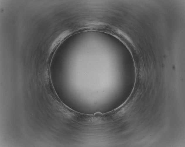 X0000075371362200609081129