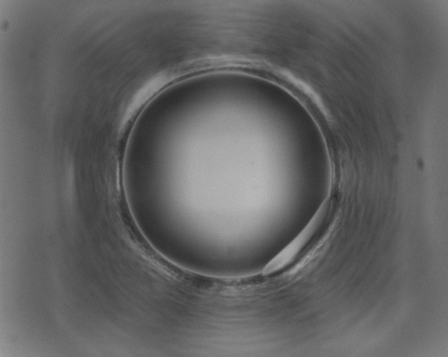 X0000075371365200609081129