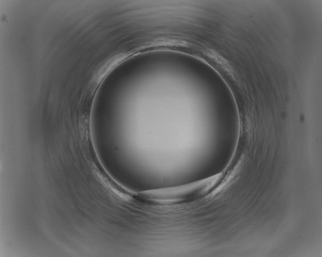 X0000075371369200609081129