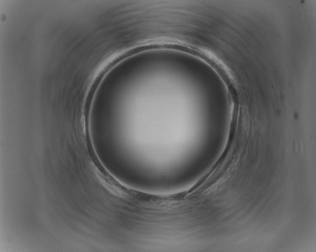 X0000075371372200609081129