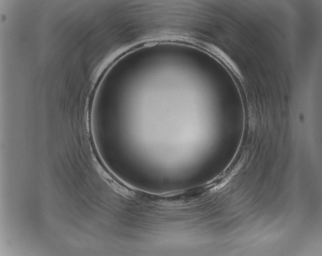 X0000075371388200609081128