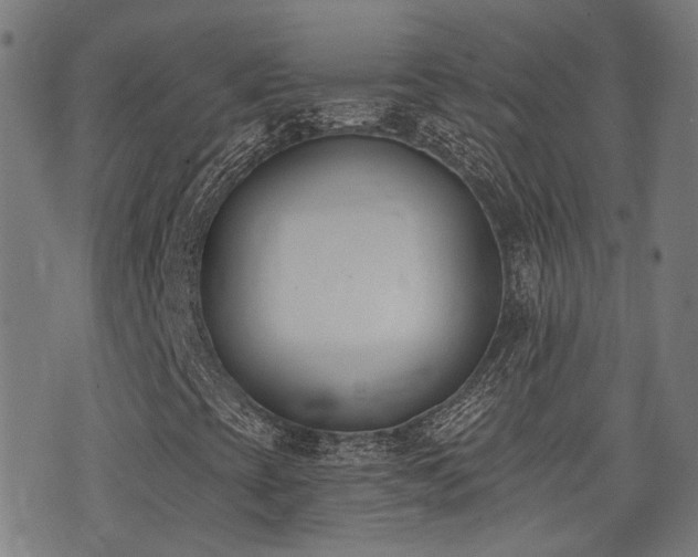 X0000075371393200609081127