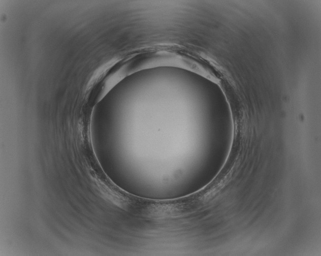 X0000075371402200609081128