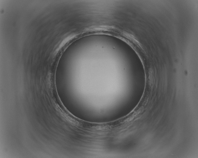 X0000075371404200609081128