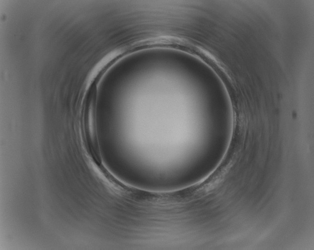 X0000075371418200609081128