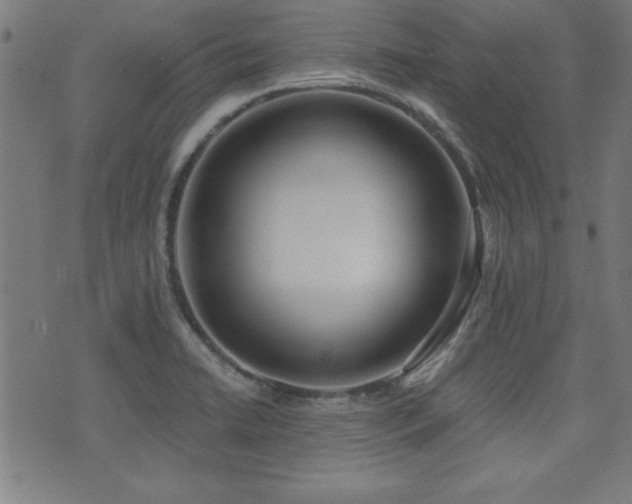 X0000075371422200609081128