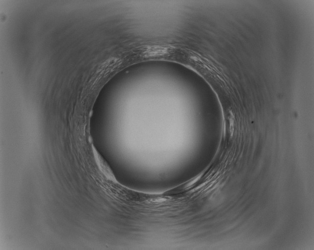 X0000075371441200609081127