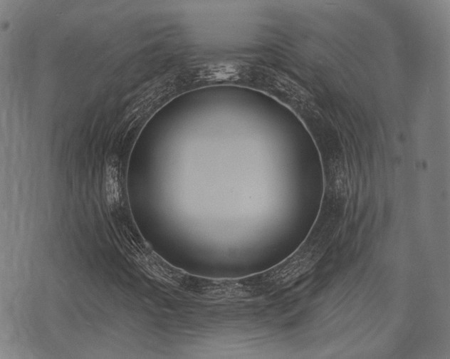X0000075371442200609081127