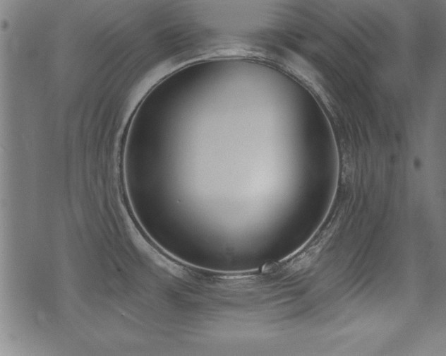 X0000075371483200609081127