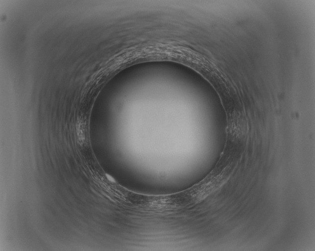 X0000075371490200609081126