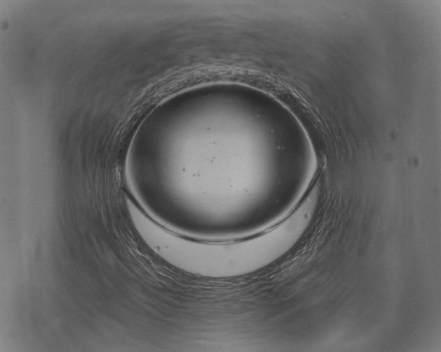X0000075371492200609081126