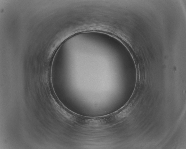 X0000075371500200609081126