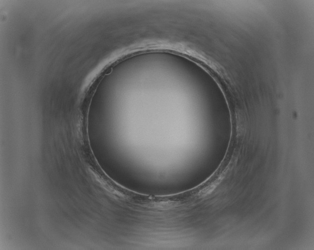 X0000075371502200609081126