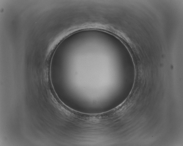 X0000075371504200609081126