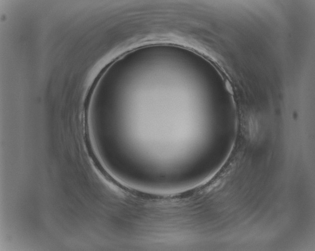 X0000075371519200609081126