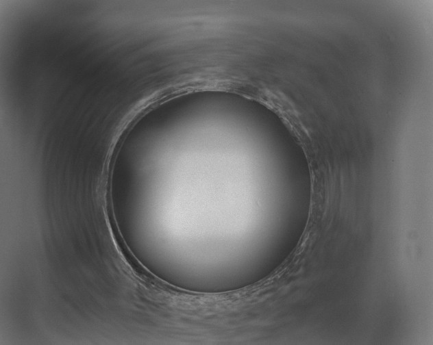 X0000075370003200609151715