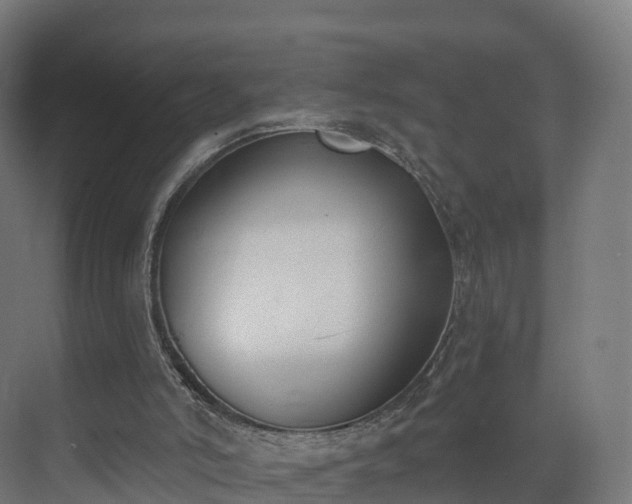 X0000075370006200609151715