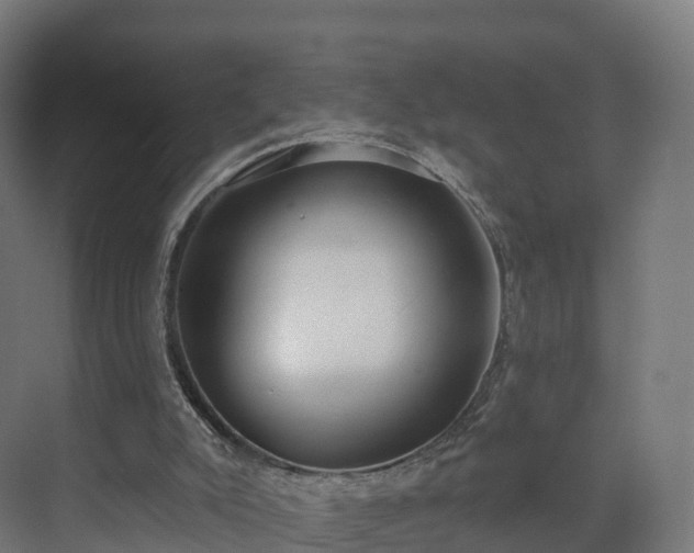 X0000075370007200609151715