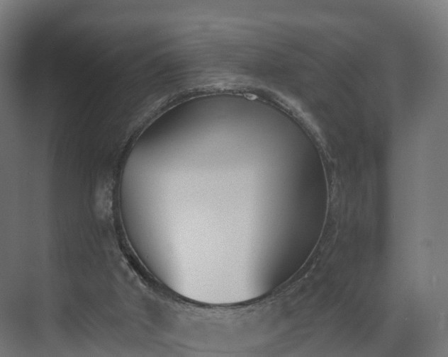 X0000075370010200609151714