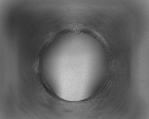 X0000075370018200609151714