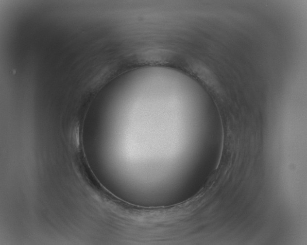 X0000075370021200609151714