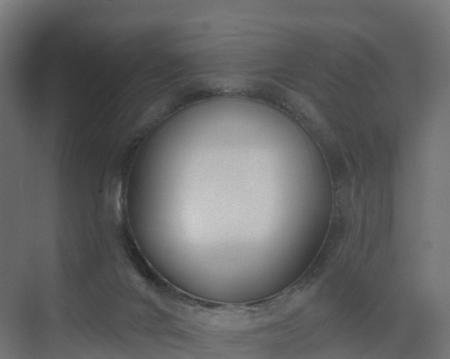 X0000075370024200609151714