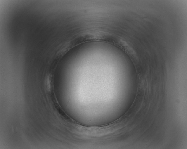 X0000075370026200609151714