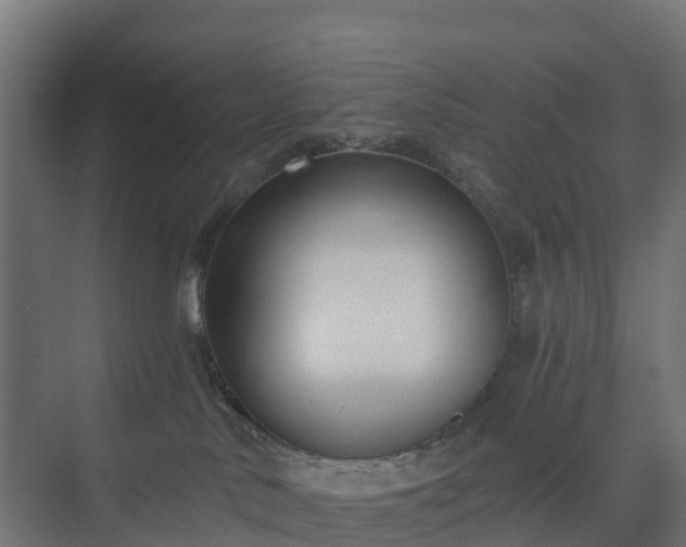 X0000075370042200609151714