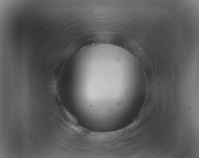 X0000075370045200609151714