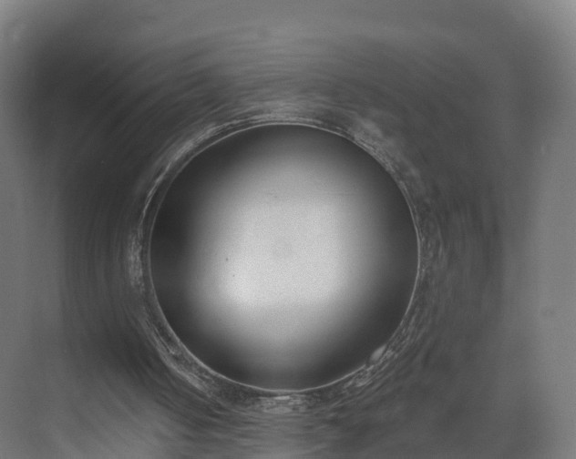 X0000075370050200609151713