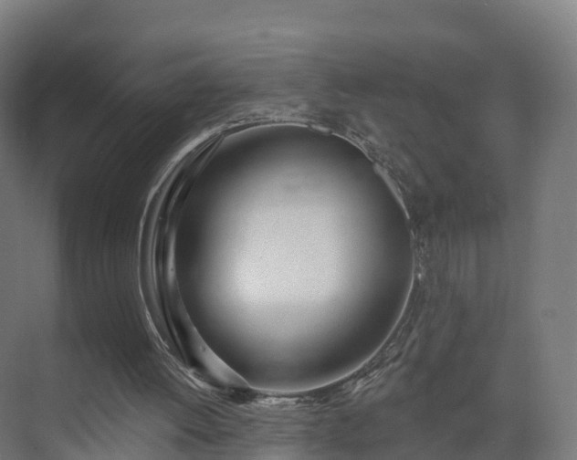 X0000075370052200609151713