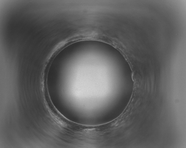 X0000075370054200609151713